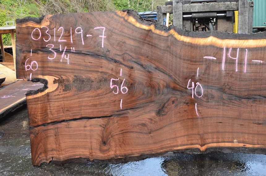 031219-07 Oregon Black Walnut Slab