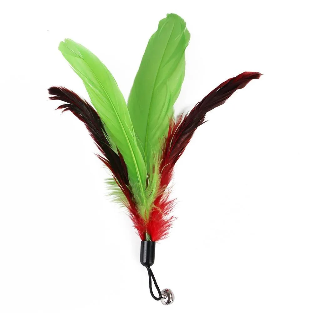 Cat-Fit Feather Wand | 11 pcs Toy Set