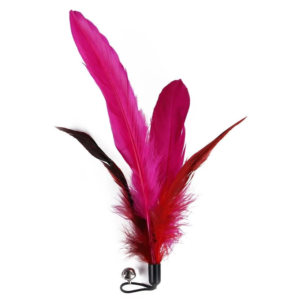 Cat-Fit Feather Wand | 11 pcs Toy Set