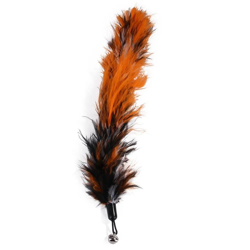 Cat-Fit Feather Wand | 11 pcs Toy Set