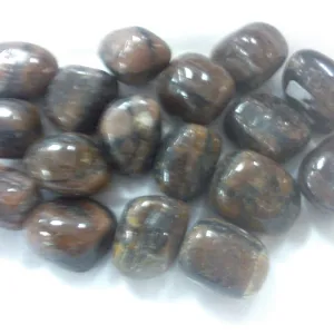 Chiastolite Tumbled
