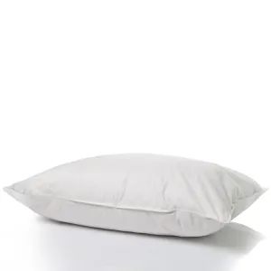 Copy of Casa Decor 50% Duck Feather 50% Down Pillow Cotton Cover 1000GSM Single Pack