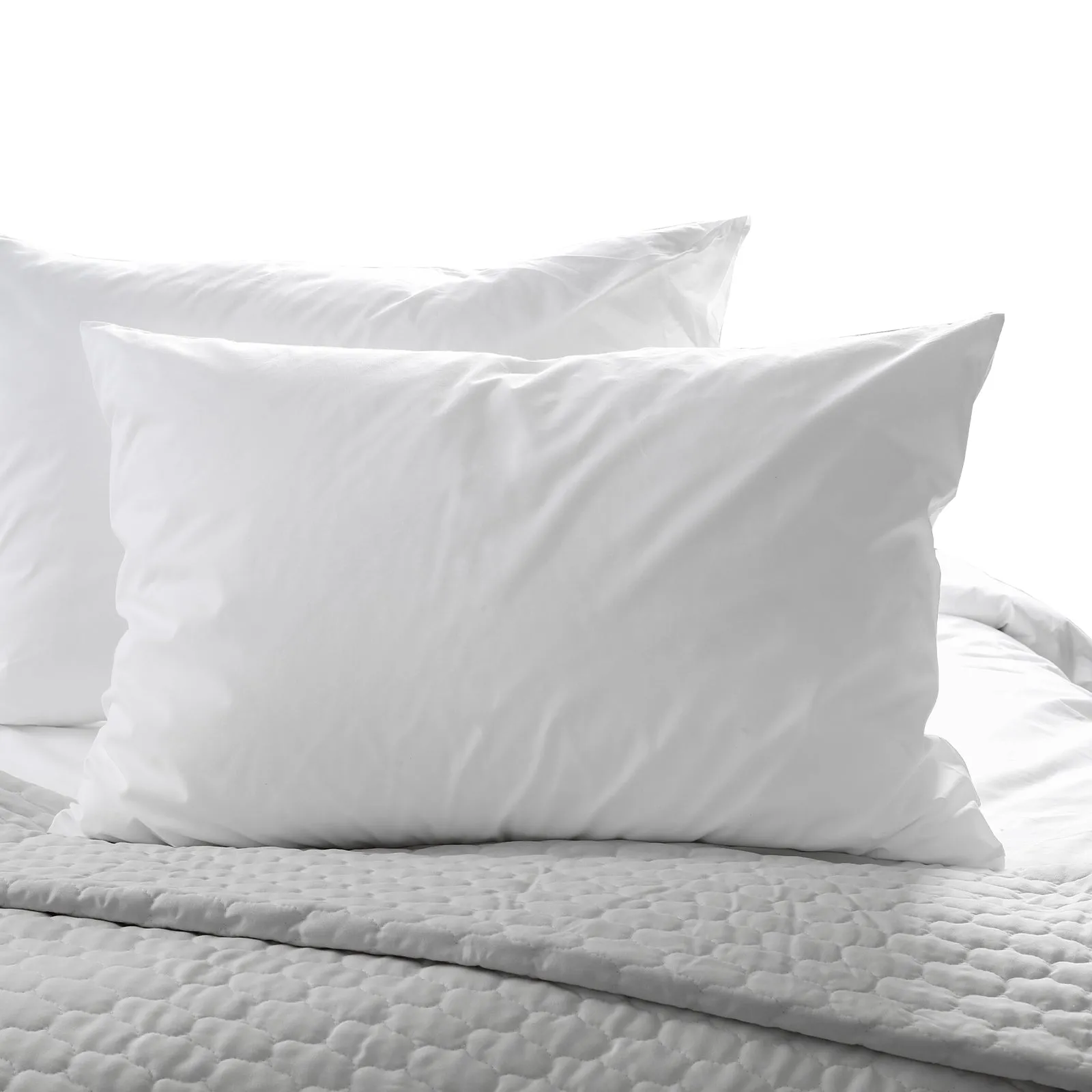 Copy of Casa Decor 50% Duck Feather 50% Down Pillow Cotton Cover 1000GSM Single Pack