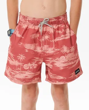 Dreamers Volley 15" Boardshort - Boys (8-16 years)