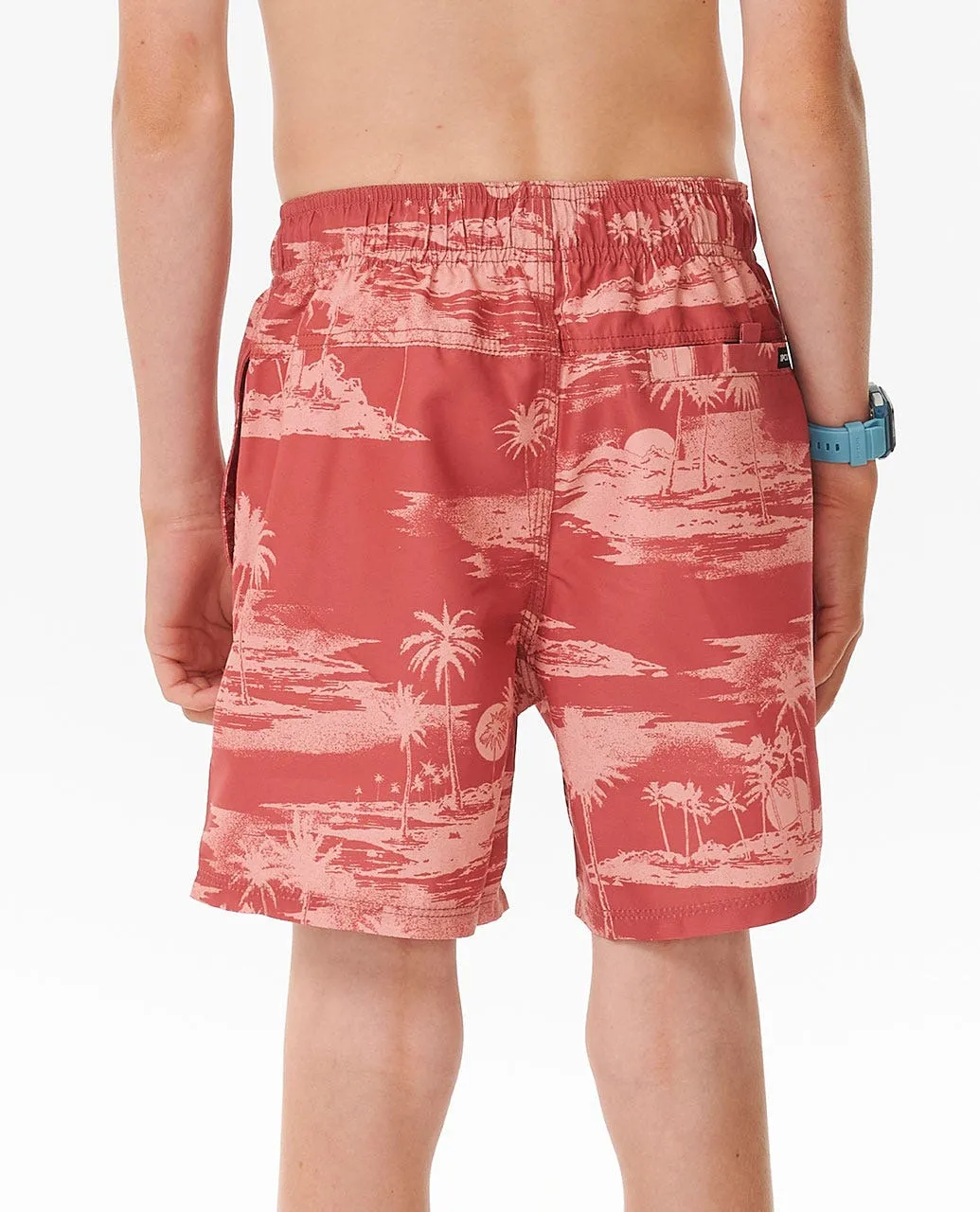 Dreamers Volley 15" Boardshort - Boys (8-16 years)