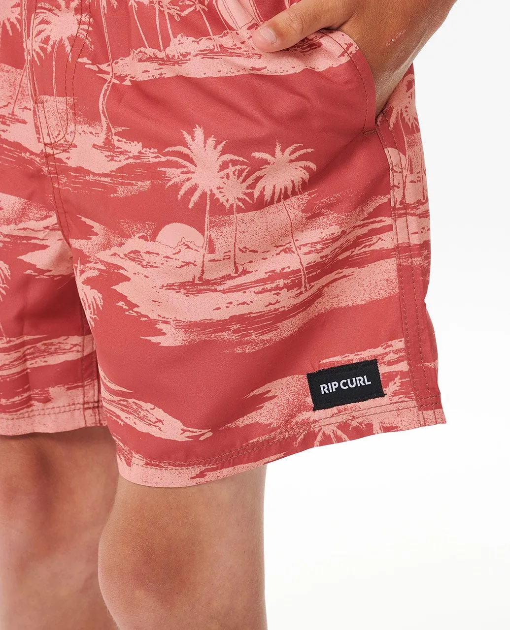 Dreamers Volley 15" Boardshort - Boys (8-16 years)