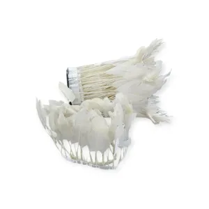 Feather Trimming WTFT