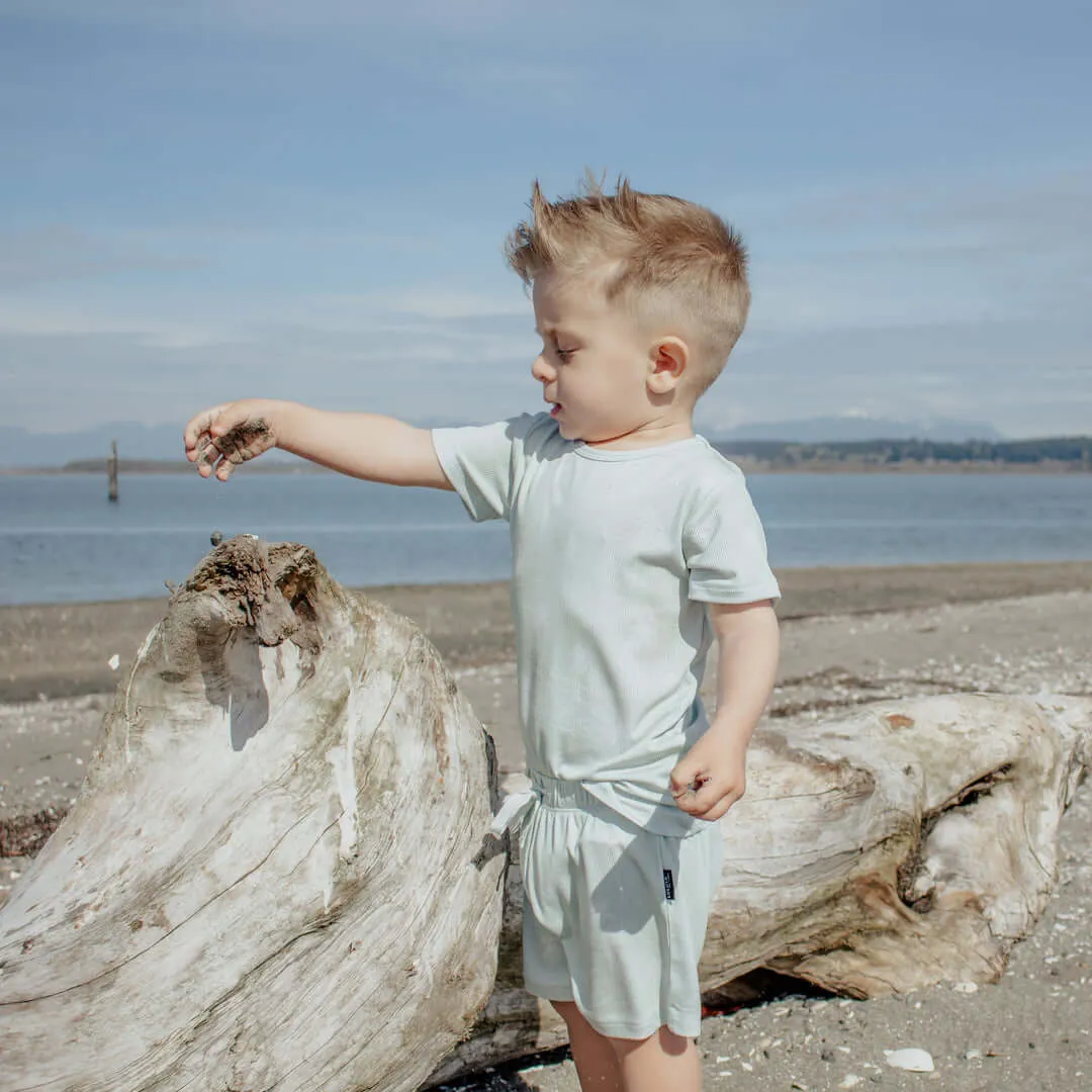 Lush Palms Bamboo T-Shirt and Shorts Toddler Set