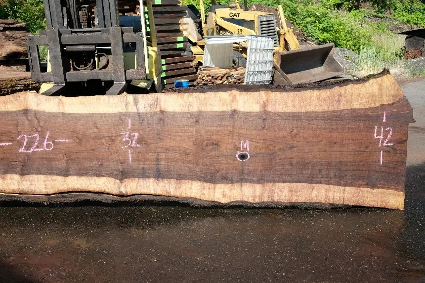 Oregon Black Walnut Slab 062423-02