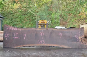 Oregon Black Walnut Slab 092622-14