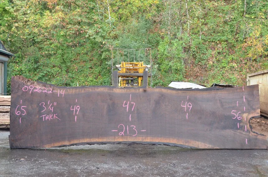 Oregon Black Walnut Slab 092622-14