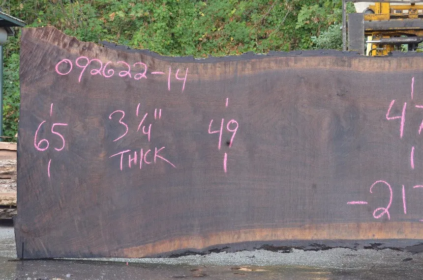 Oregon Black Walnut Slab 092622-14