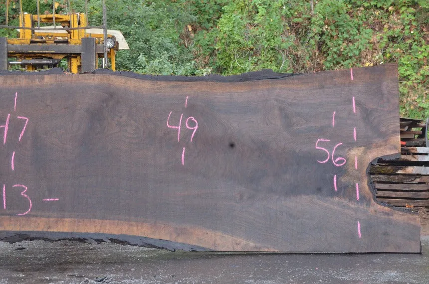 Oregon Black Walnut Slab 092622-14