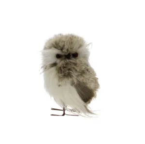 Owl Decor