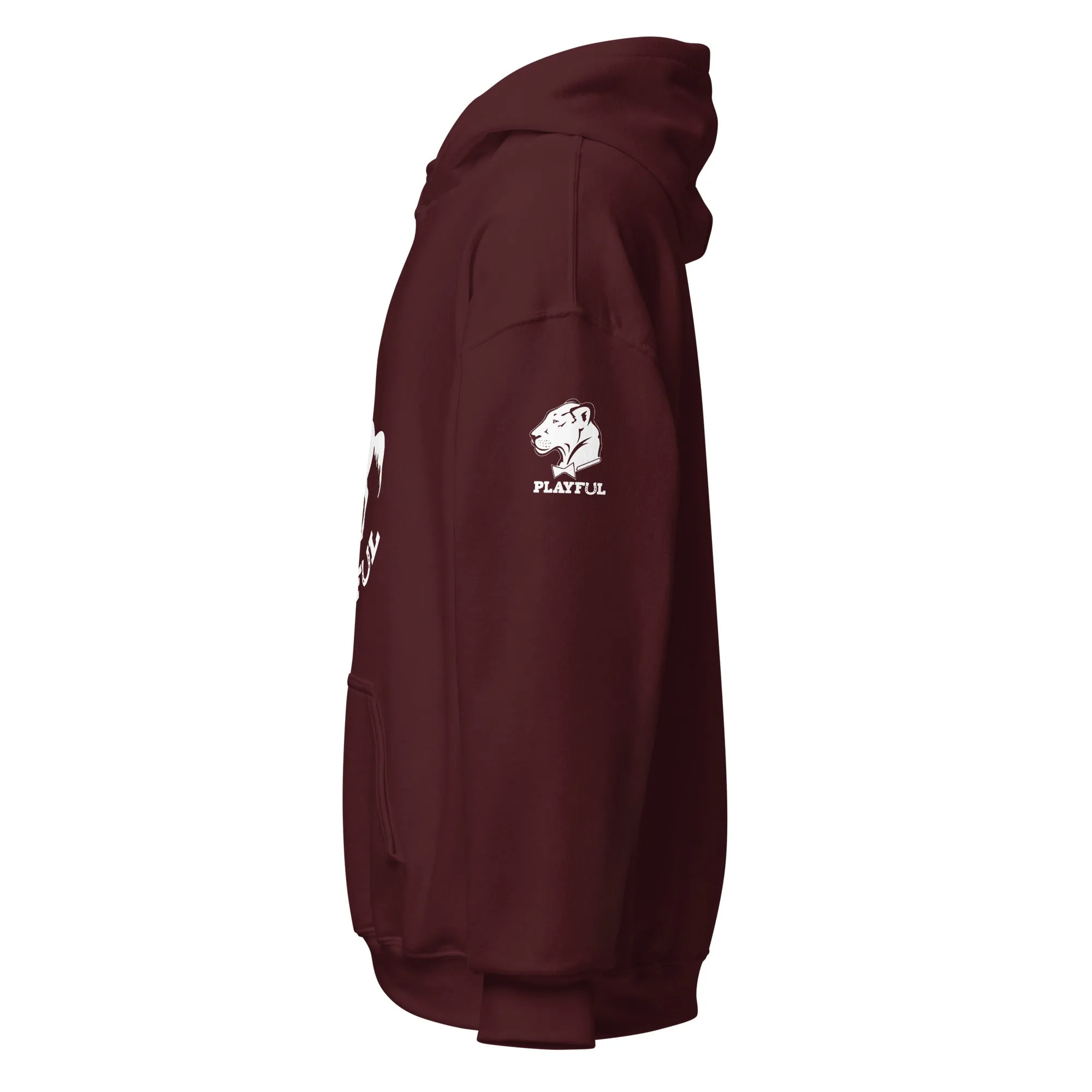 Playful Horse (Unisex) Hoodie