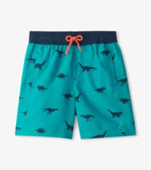 Silhouette Dino Swim Trunks
