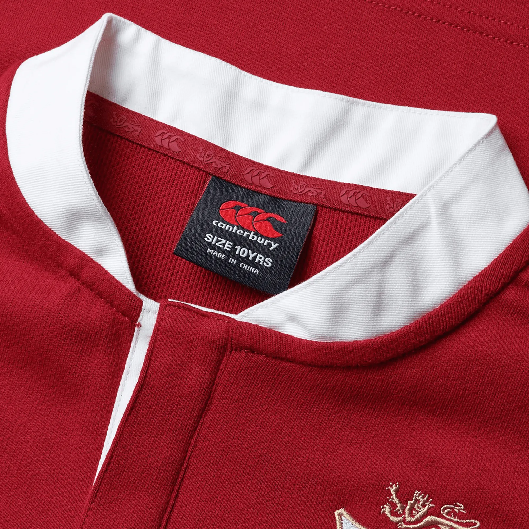 Youth British & Irish Lions 2025 Classic Jersey by Canterbury