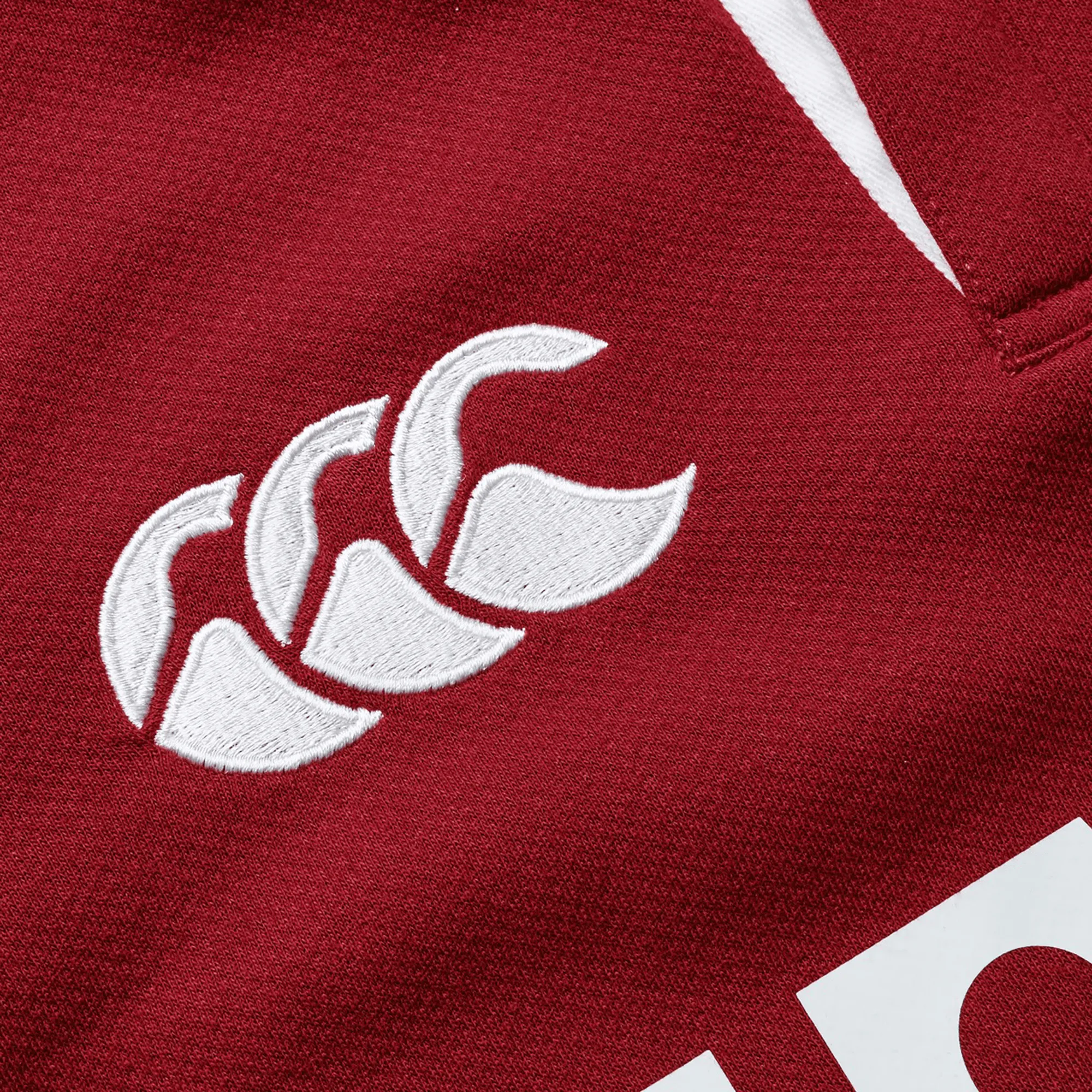 Youth British & Irish Lions 2025 Classic Jersey by Canterbury